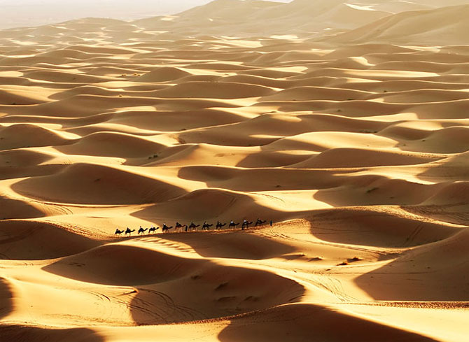 القوافل الصحراء